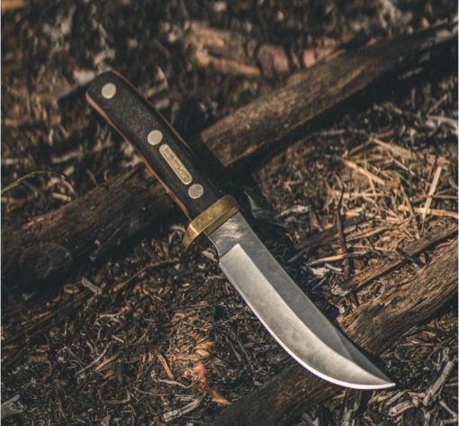 Old Timer Mountain Lion 160OT